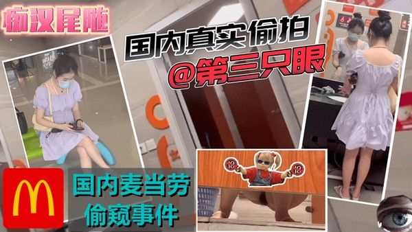 稀缺资源国内商场尾随-潜入麦当劳高清有声版