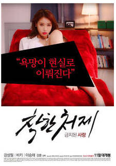 禁Z的爱：善良的小Y子  1990