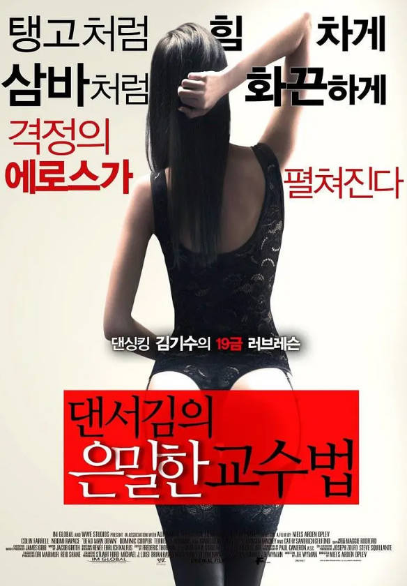 舞者的秘密教学 2013